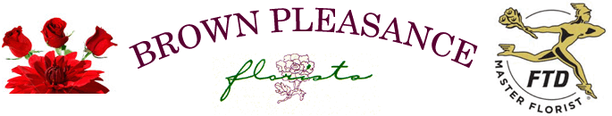 Lakewood Florist | Same Day Flower Delivery by Brown Pleasance Florists Inc