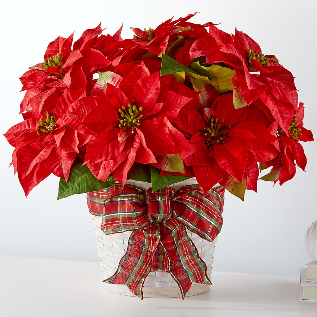Happiest Holidays Poinsettia – Brown Pleasance Florists Inc, Lakewood OH