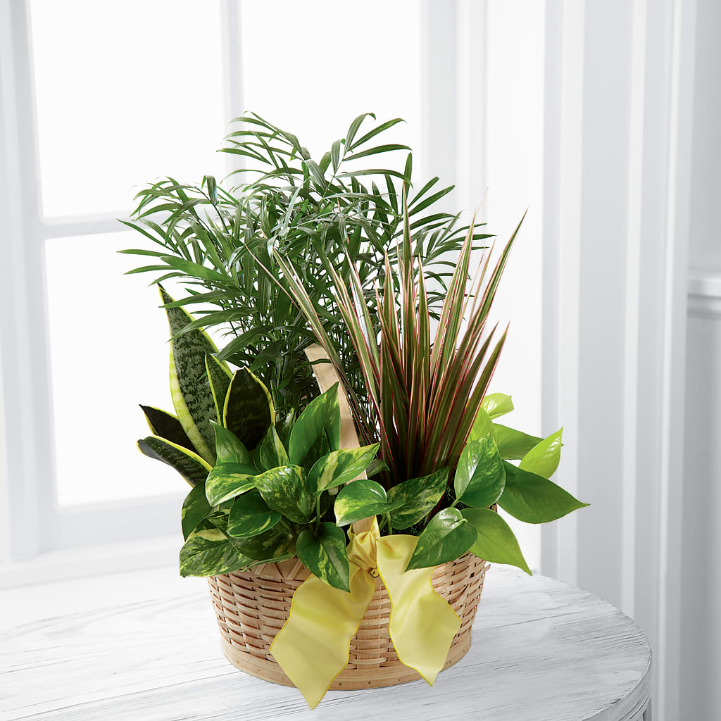 French Garden – Brown Pleasance Florists Inc, Lakewood OH