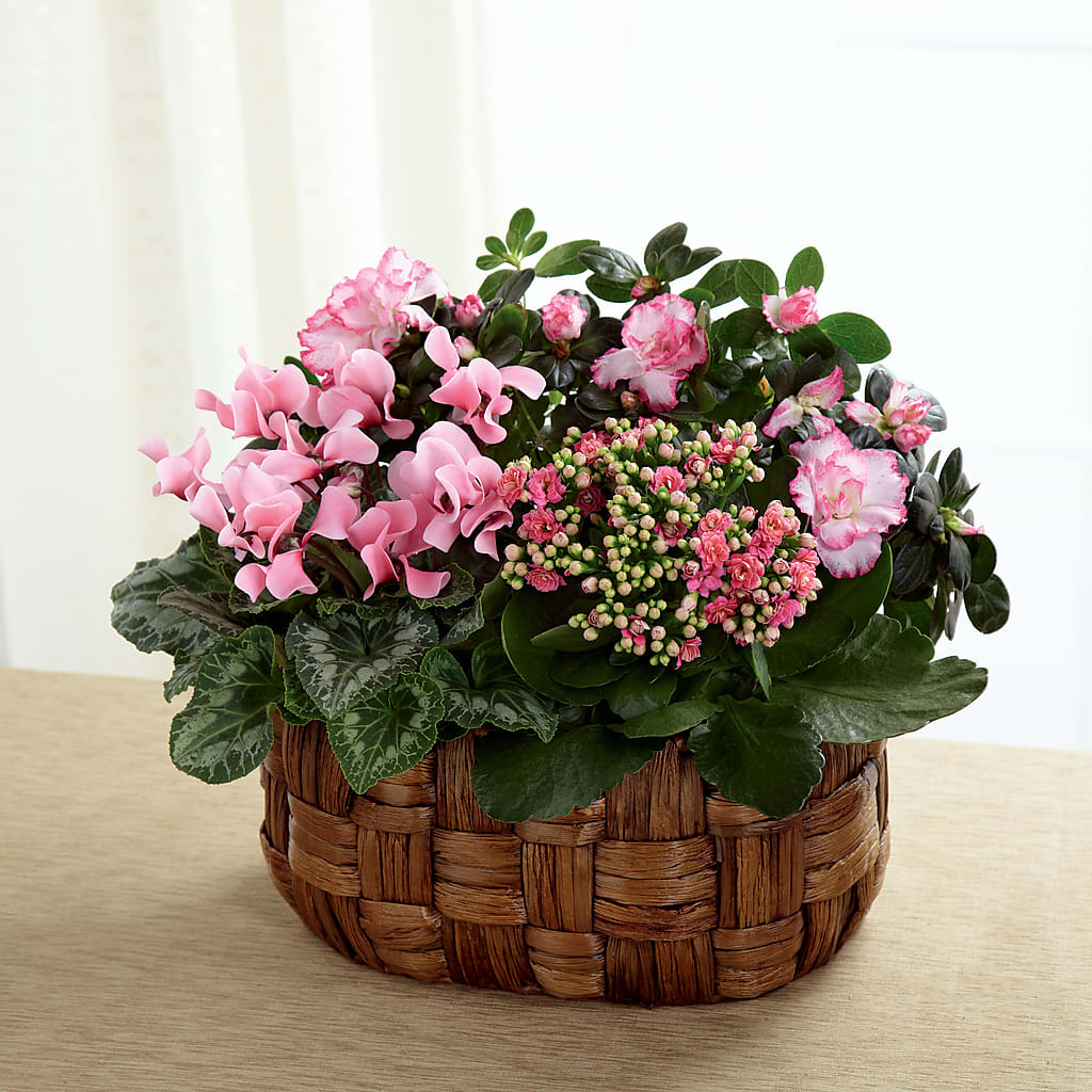 Pink Assortment – Brown Pleasance Florists Inc, Lakewood OH