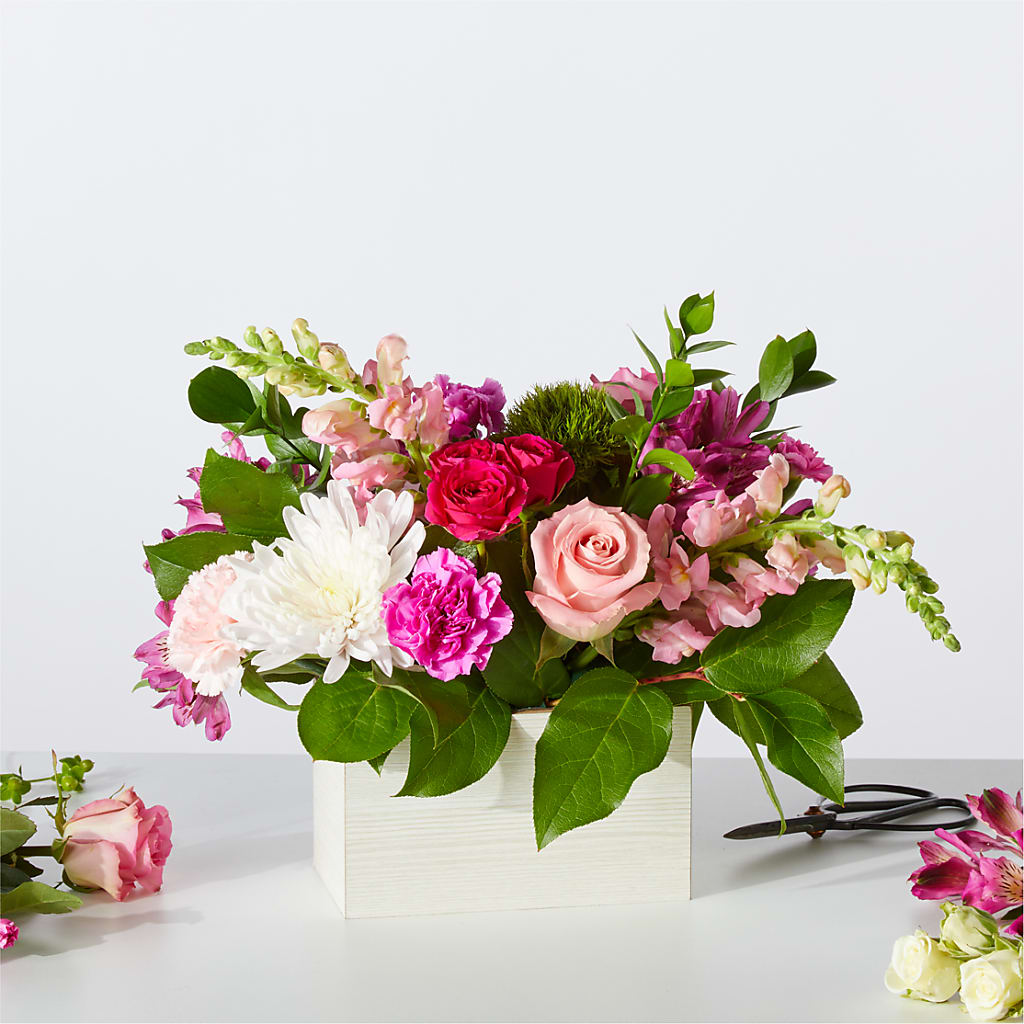 Sweetberry Box – A Florist Original – Brown Pleasance Florists Inc, Lakewood OH