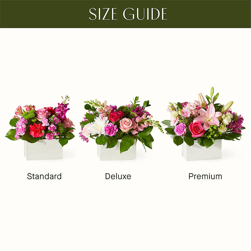 Sweetberry Box – A Florist Original – Brown Pleasance Florists Inc, Lakewood OH