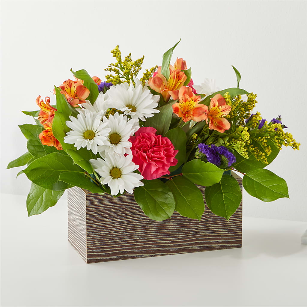 Oopsie Daisy Box Bouquet – Brown Pleasance Florists Inc, Lakewood OH