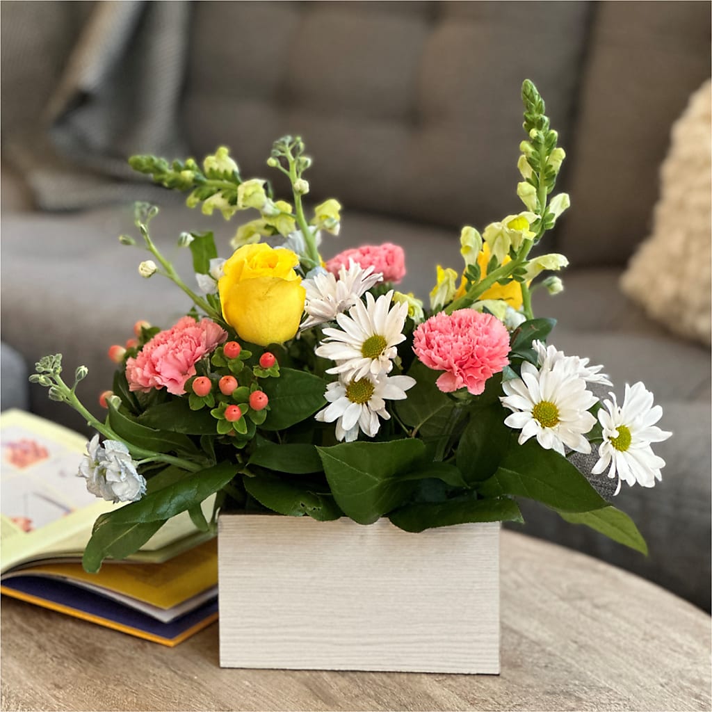 Sun Salutation Box Bouquet – Brown Pleasance Florists Inc, Lakewood OH