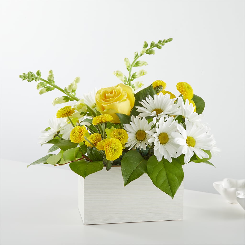 Sun Salutation Box Bouquet – Brown Pleasance Florists Inc, Lakewood OH