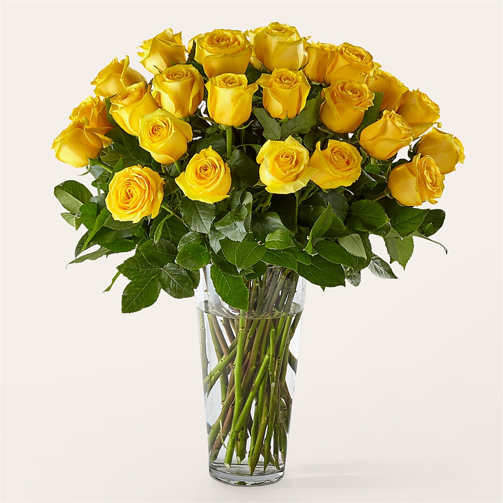 Long Stem Yellow Rose Bouquet – Brown Pleasance Florists Inc, Lakewood OH