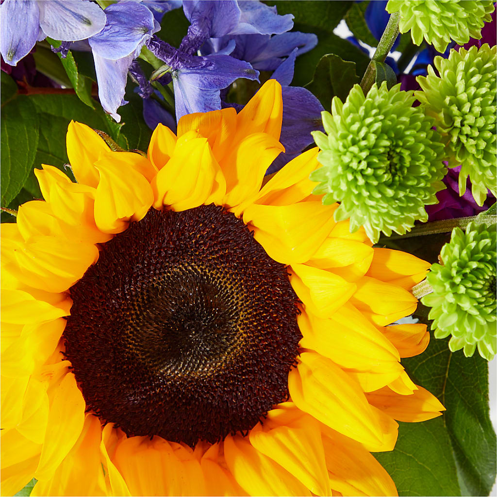 Catching Rays Bouquet – Brown Pleasance Florists Inc, Lakewood OH