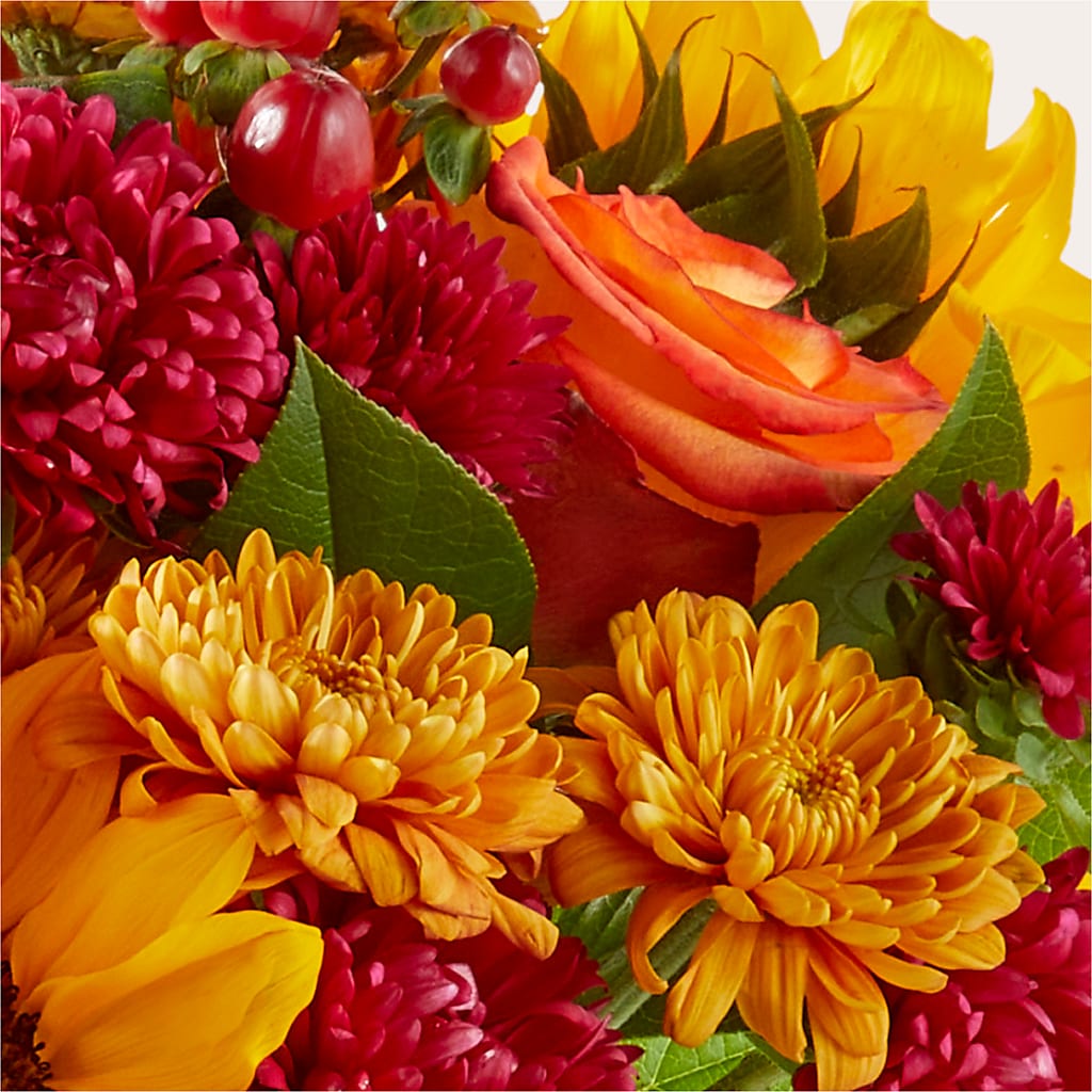 Sweater Season - A Florist Original – Brown Pleasance Florists Inc, Lakewood OH