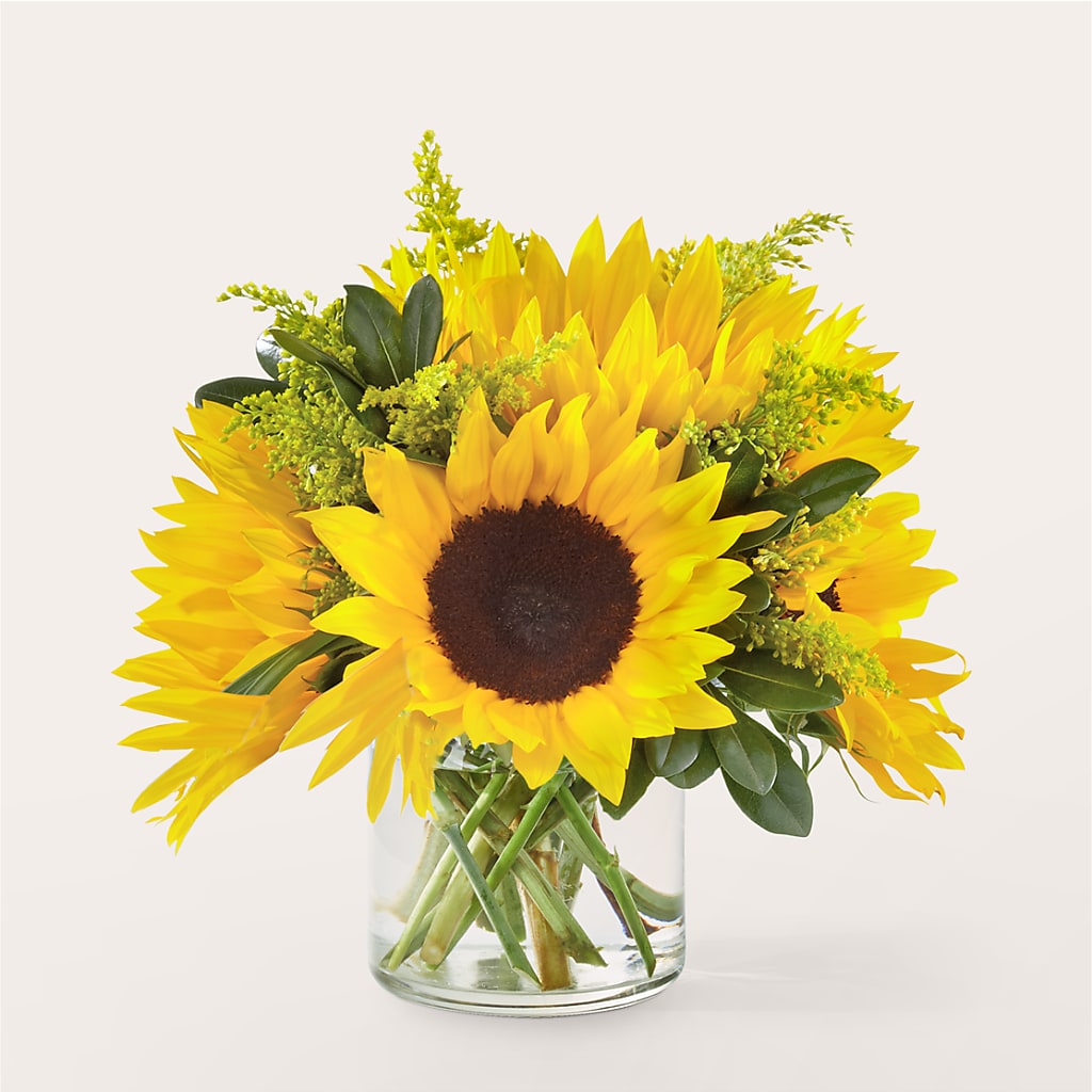 Beaming Sunflower Bouquet – Brown Pleasance Florists Inc, Lakewood OH