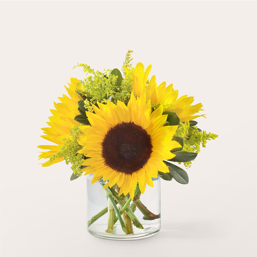 Beaming Sunflower Bouquet – Brown Pleasance Florists Inc, Lakewood OH