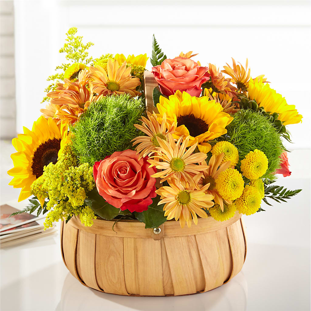 Harvest Sunflower Basket – Brown Pleasance Florists Inc, Lakewood OH