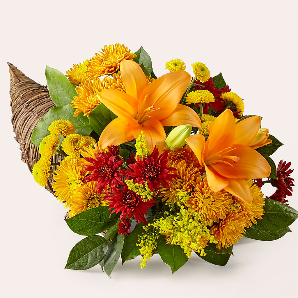 Feast of Color Cornucopia – Brown Pleasance Florists Inc, Lakewood OH