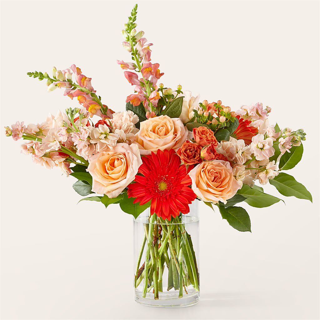 Paloma Please Bouquet – Brown Pleasance Florists Inc, Lakewood OH