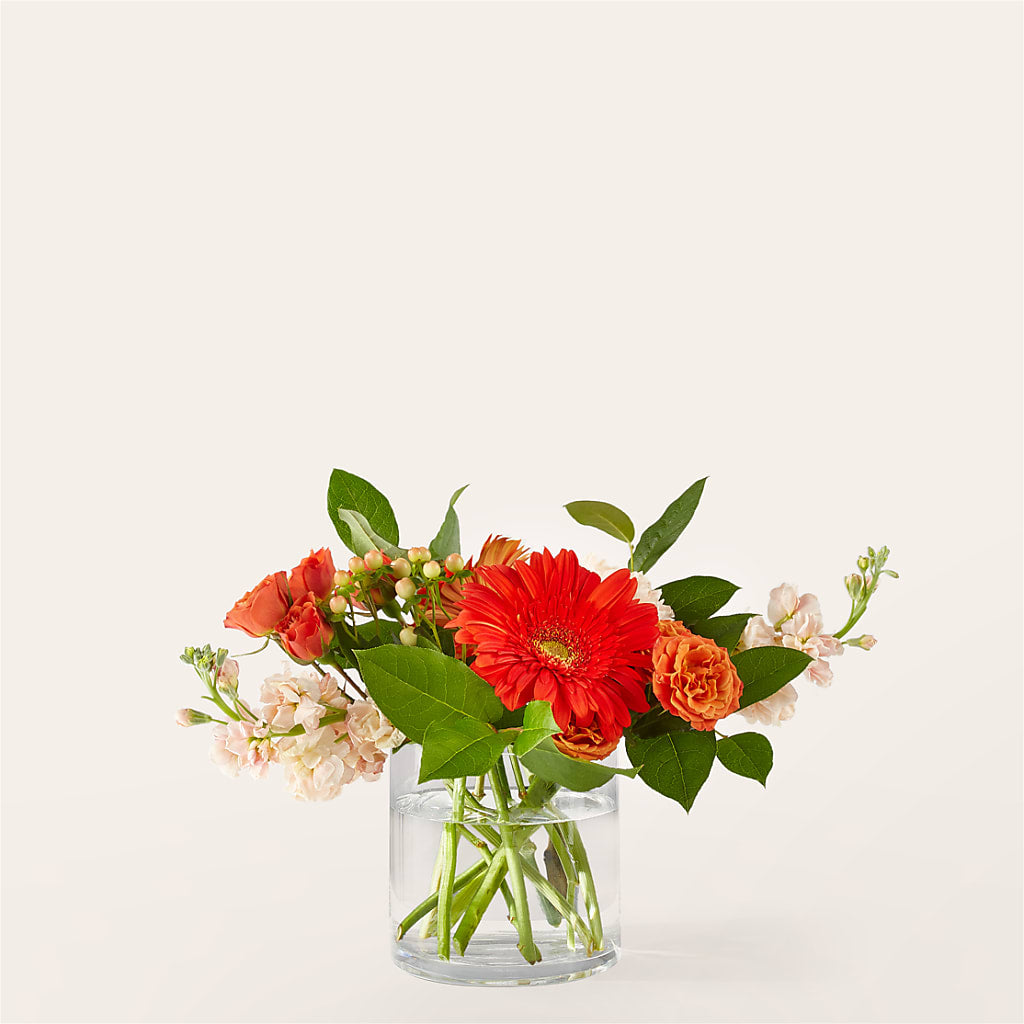 Paloma Please Bouquet – Brown Pleasance Florists Inc, Lakewood OH