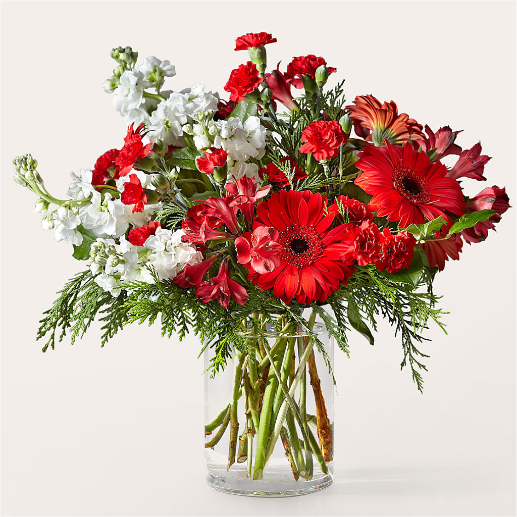 Holidaisy Bouquet – Brown Pleasance Florists Inc, Lakewood OH