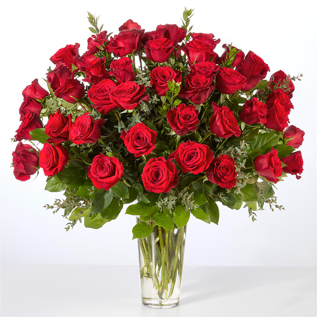 Forever Yours Fifty Stem Red Rose Bouquet – Brown Pleasance Florists Inc, Lakewood OH