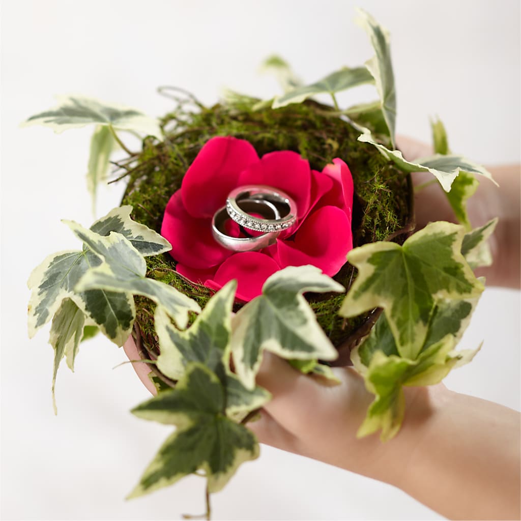 Lila Rose Ring Nest – Brown Pleasance Florists Inc, Lakewood OH