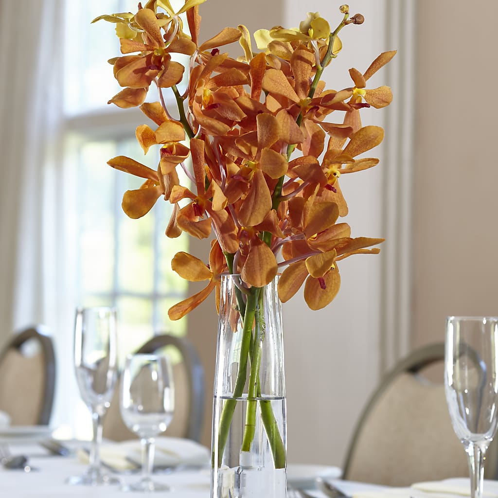 Orange Mokara Bud Vase – Brown Pleasance Florists Inc, Lakewood OH