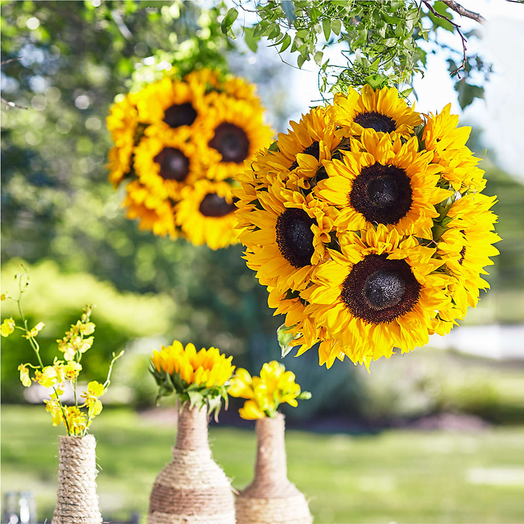 Sublime Garden Hanging Arrangement – Brown Pleasance Florists Inc, Lakewood OH