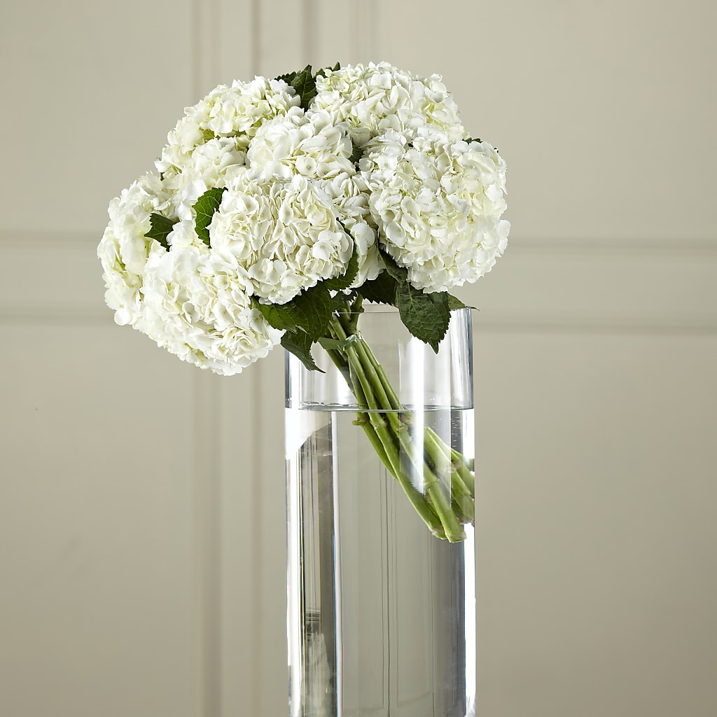 White Hydrangea Hand-Tied Bouquet – Brown Pleasance Florists Inc, Lakewood OH