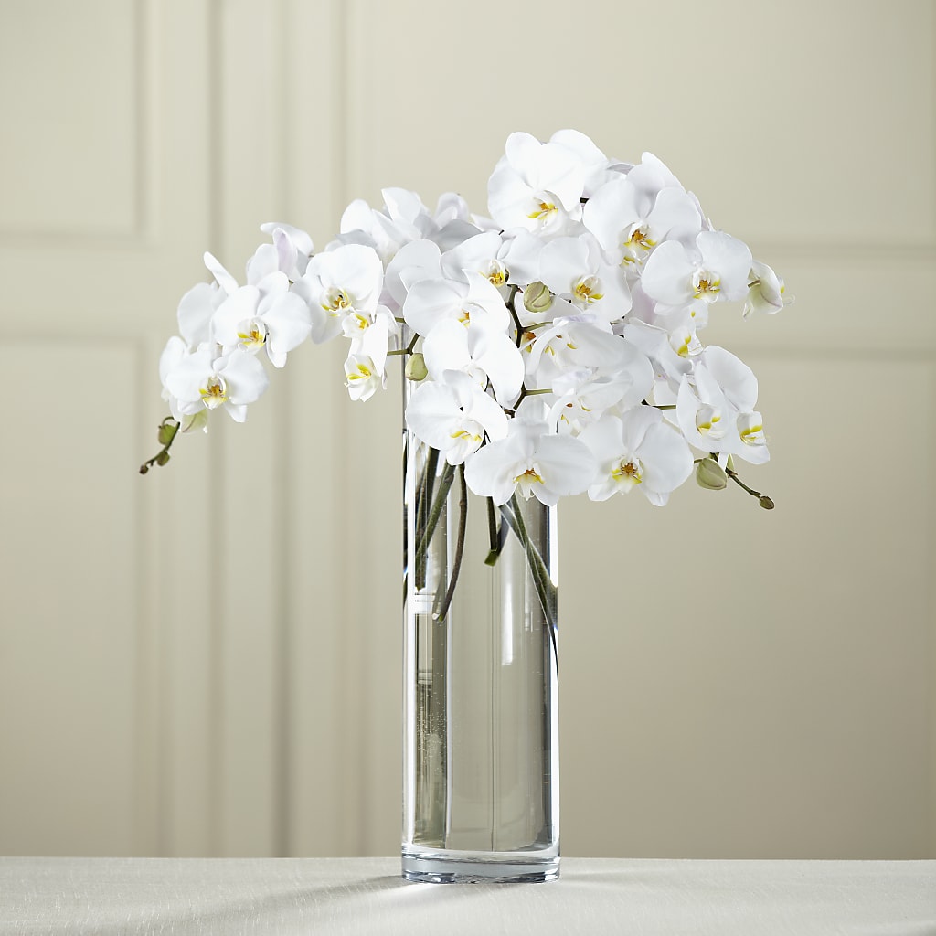 White Phalaenopsis Bouquet – Brown Pleasance Florists Inc, Lakewood OH