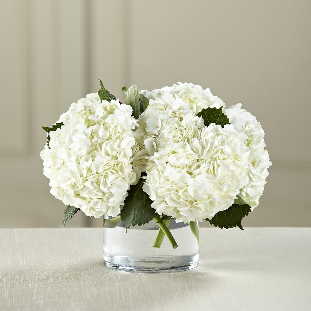 White Hydrangea Bouquet – Brown Pleasance Florists Inc, Lakewood OH
