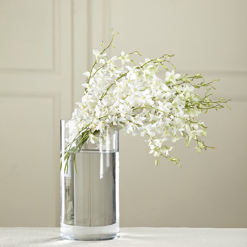 White Dendrobium Bouquet – Brown Pleasance Florists Inc, Lakewood OH