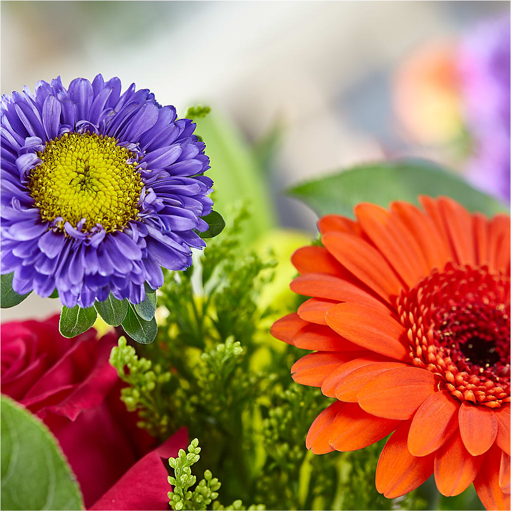 Bold & Bright – A Florist Original –  Brown Pleasance Florists Inc, Lakewood OH