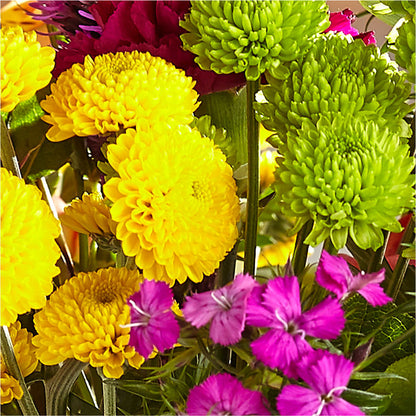 Bold & Bright – A Florist Original –  Brown Pleasance Florists Inc, Lakewood OH