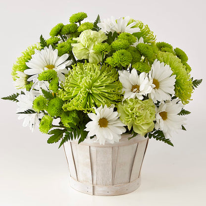 Lucky Charm Basket (Standard) –  Brown Pleasance Florists Inc, Lakewood OH