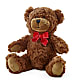 Adorable Plush Bear –  Brown Pleasance Florists Inc, Lakewood OH