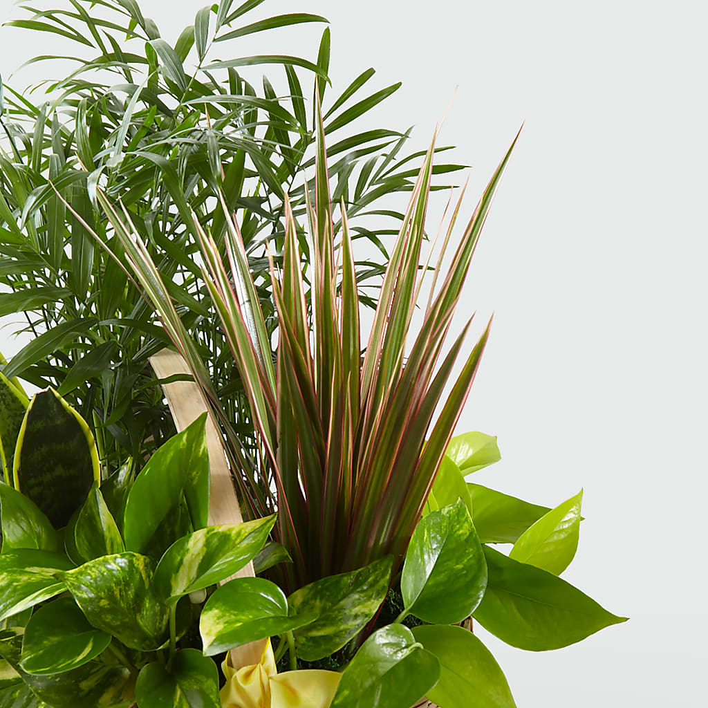 French Garden –  Brown Pleasance Florists Inc, Lakewood OH