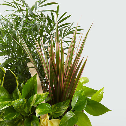 French Garden –  Brown Pleasance Florists Inc, Lakewood OH