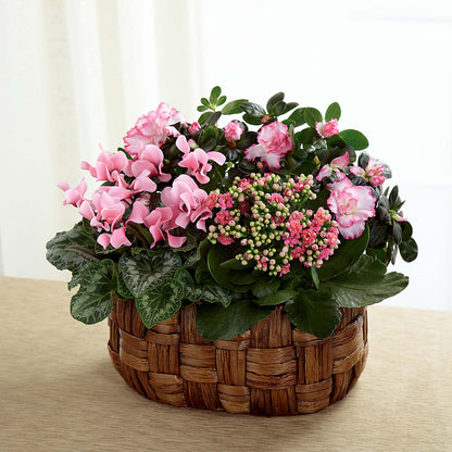 Pink Assortment –  Brown Pleasance Florists Inc, Lakewood OH