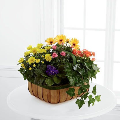 Gentle Blossoms Basket –  Brown Pleasance Florists Inc, Lakewood OH