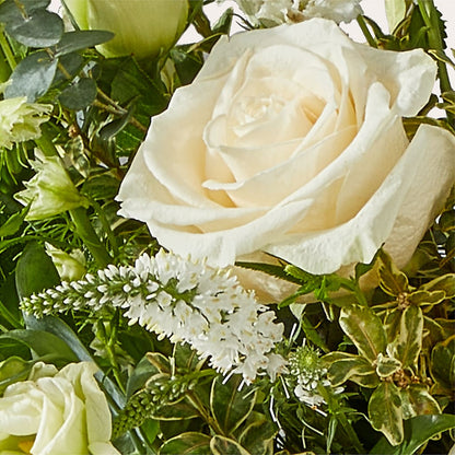 Cashmere Bouquet –  Brown Pleasance Florists Inc, Lakewood OH