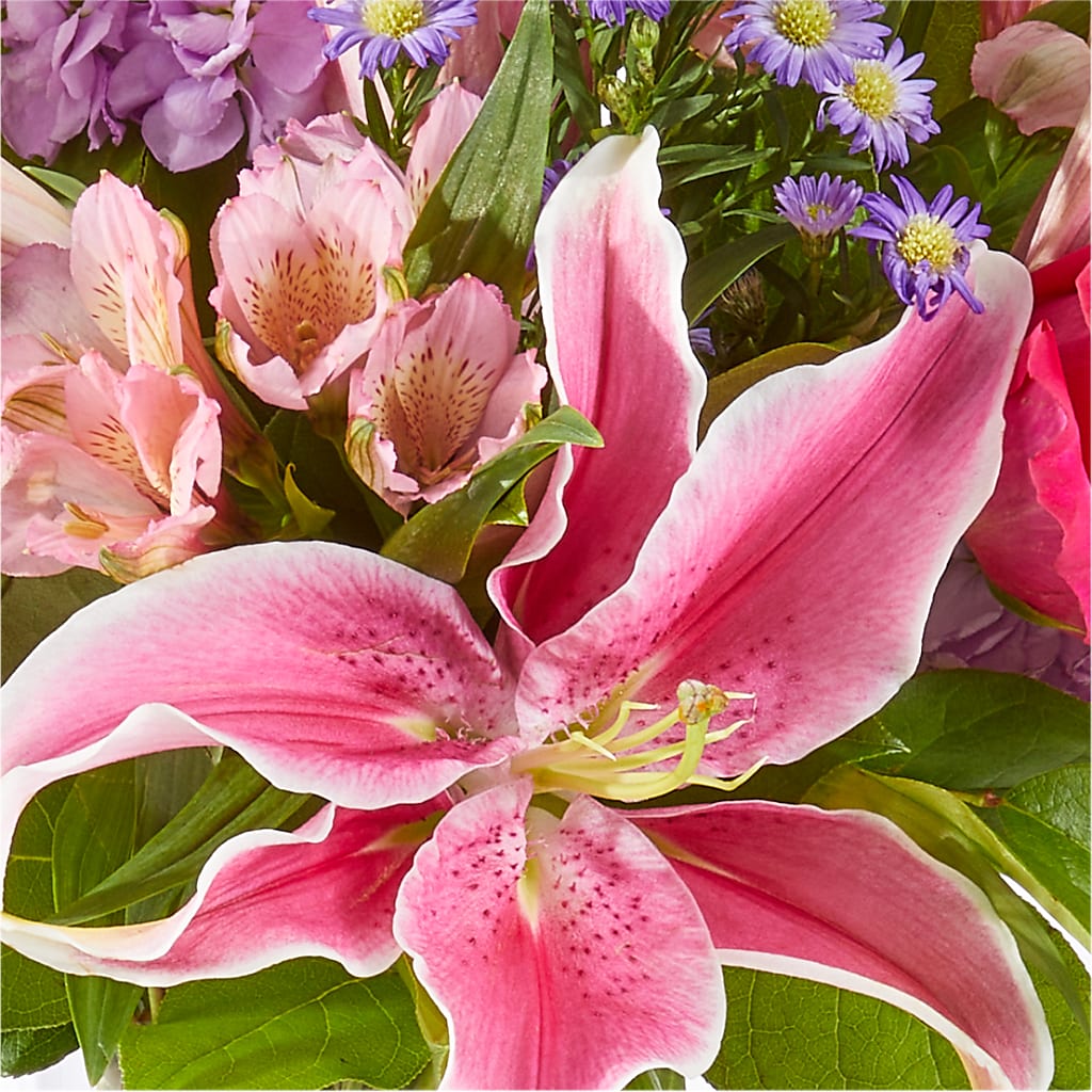 Written in the Stars Bouquet –  Brown Pleasance Florists Inc, Lakewood OH
