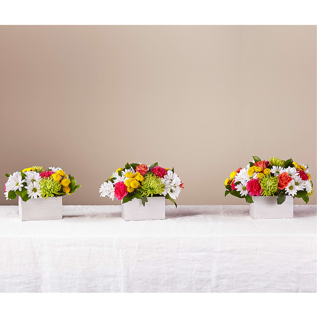 Sorbet Bouquet –  Brown Pleasance Florists Inc, Lakewood OH