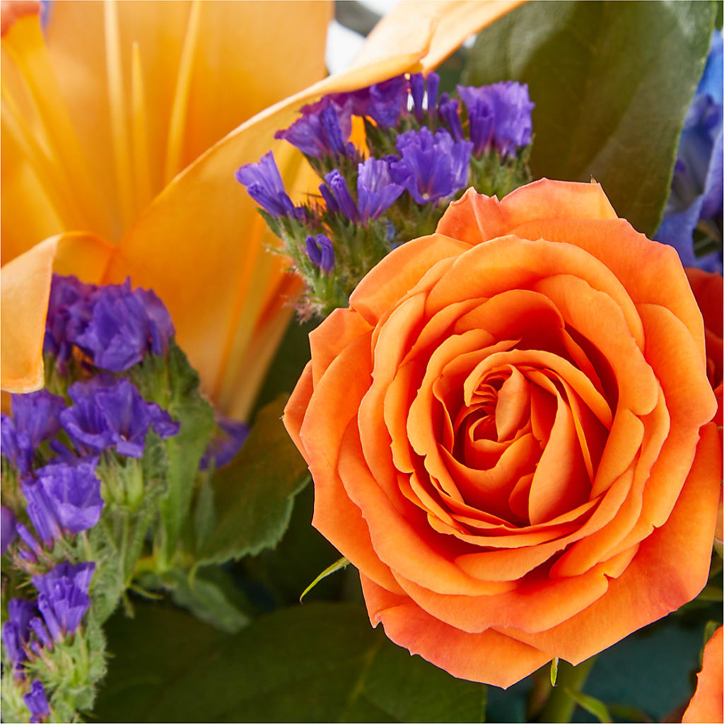 Radiant Citrus Box Bouquet –  Brown Pleasance Florists Inc, Lakewood OH