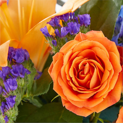 Radiant Citrus Box Bouquet –  Brown Pleasance Florists Inc, Lakewood OH