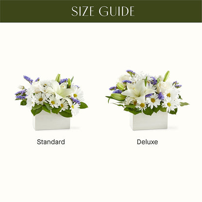 Beyond Blue Box Bouquet –  Brown Pleasance Florists Inc, Lakewood OH