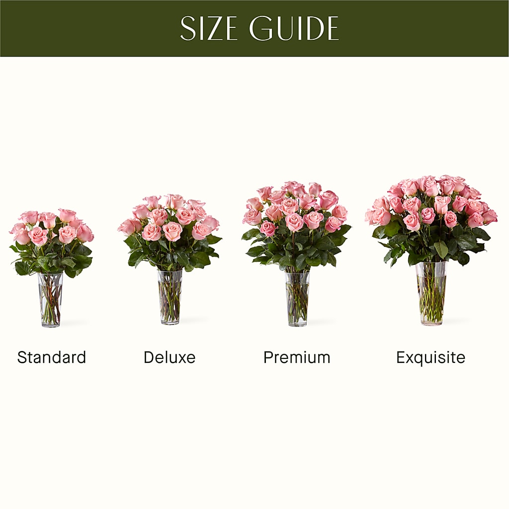 Long Stem Pink Rose Bouquet –  Brown Pleasance Florists Inc, Lakewood OH