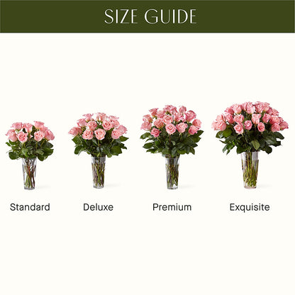 Long Stem Pink Rose Bouquet –  Brown Pleasance Florists Inc, Lakewood OH