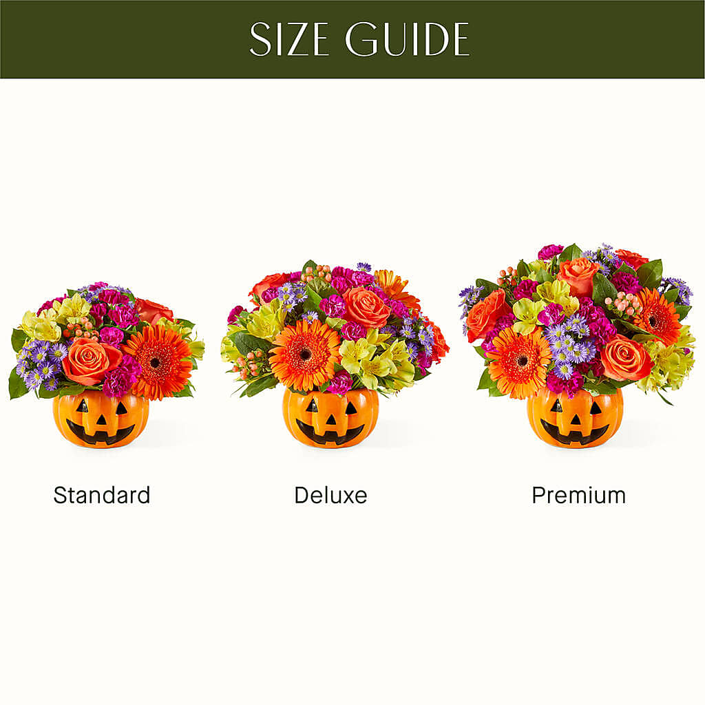 Tricks & Treats Pumpkin –  Brown Pleasance Florists Inc, Lakewood OH