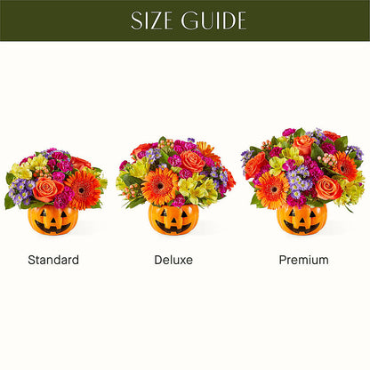Tricks & Treats Pumpkin –  Brown Pleasance Florists Inc, Lakewood OH