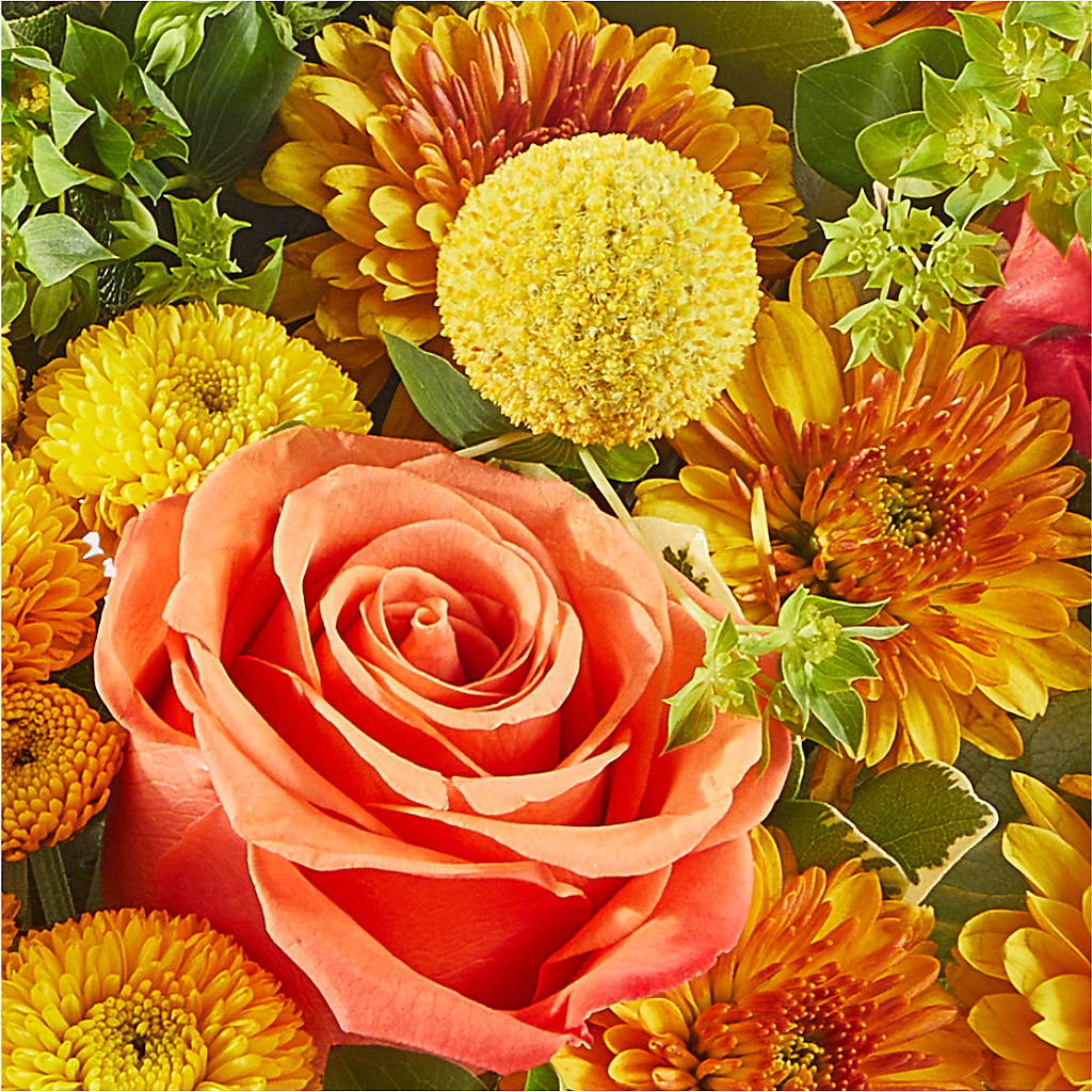 Gourdgeous Pumpkin –  Brown Pleasance Florists Inc, Lakewood OH