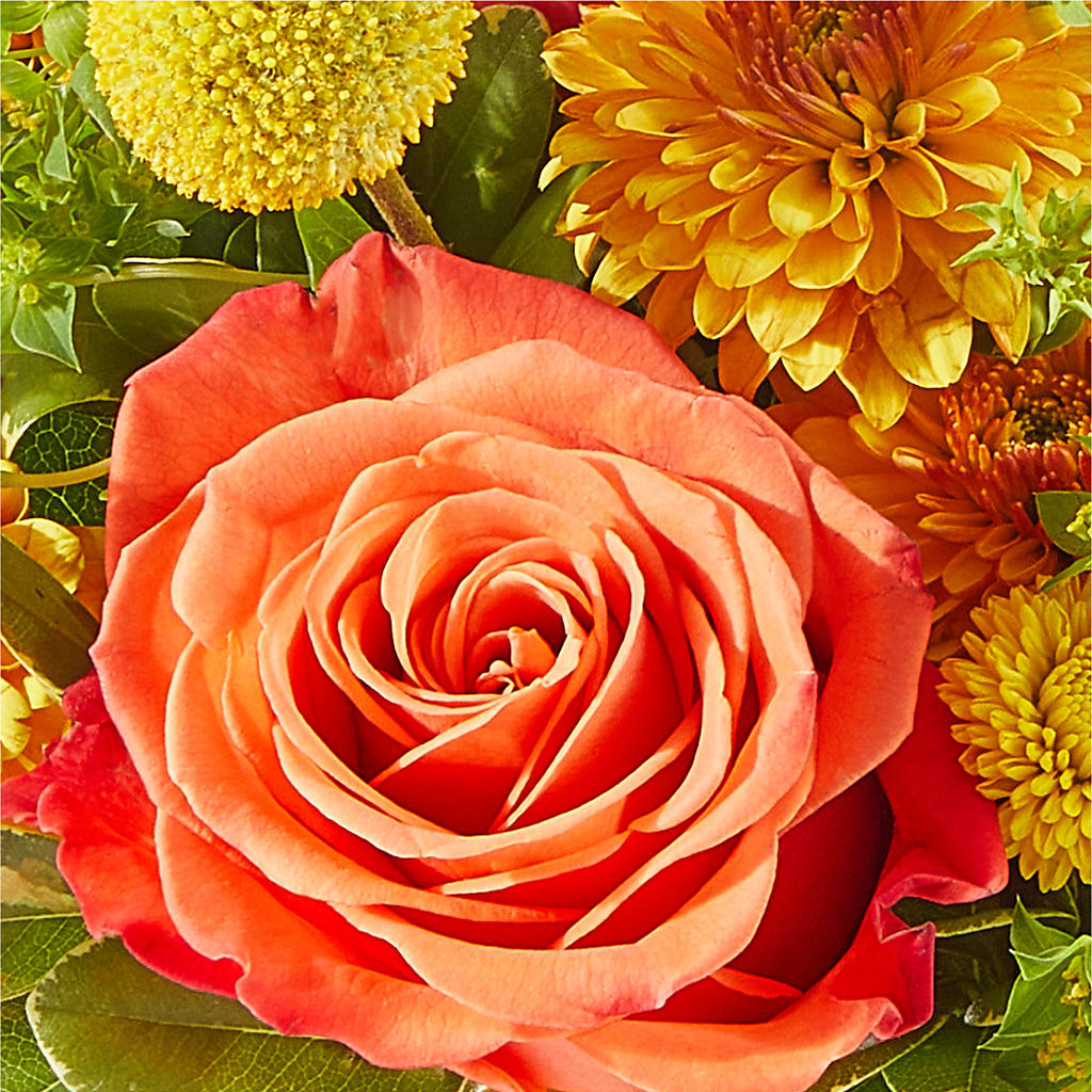 Gourdgeous Pumpkin –  Brown Pleasance Florists Inc, Lakewood OH