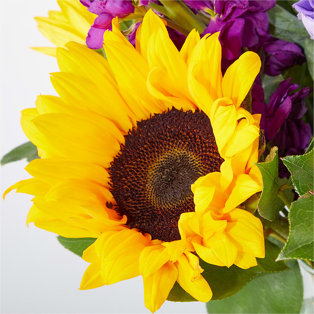 Catching Rays Bouquet –  Brown Pleasance Florists Inc, Lakewood OH