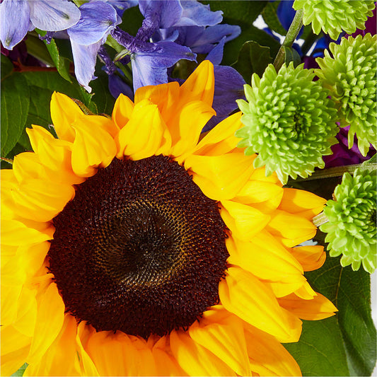 Catching Rays Bouquet –  Brown Pleasance Florists Inc, Lakewood OH