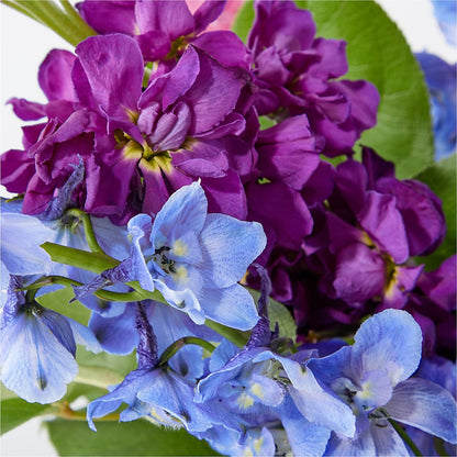 Twilight Glow Bouquet –  Brown Pleasance Florists Inc, Lakewood OH